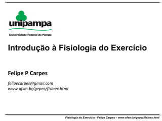 Felipe P Carpes [email_address] www.ufsm.br/gepec/fisioex.html  Introdução à Fisiologia do Exercício 