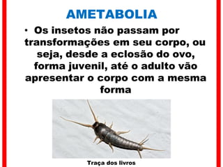 AMETABOLIA
• Os insetos não passam por
transformações em seu corpo, ou
seja, desde a eclosão do ovo,
forma juvenil, até o adulto vão
apresentar o corpo com a mesma
forma
Traça dos livros
 