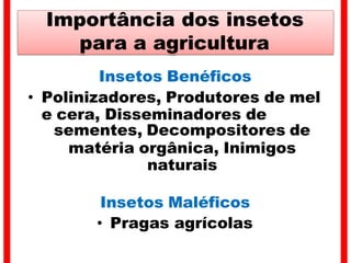 Importância dos insetos
para a agricultura
Insetos Benéficos
• Polinizadores, Produtores de mel
e cera, Disseminadores de
sementes, Decompositores de
matéria orgânica, Inimigos
naturais
Insetos Maléficos
• Pragas agrícolas
 
