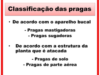 Classificação das pragas
• De acordo com o aparelho bucal
- Pragas mastigadoras
- Pragas sugadoras
• De acordo com a estrutura da
planta que é atacada
- Pragas de solo
- Pragas de parte aérea
 