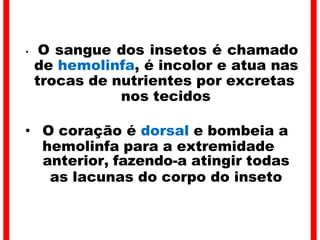 • O sangue dos insetos é chamado
de hemolinfa, é incolor e atua nas
trocas de nutrientes por excretas
nos tecidos
• O coração é dorsal e bombeia a
hemolinfa para a extremidade
anterior, fazendo-a atingir todas
as lacunas do corpo do inseto
 