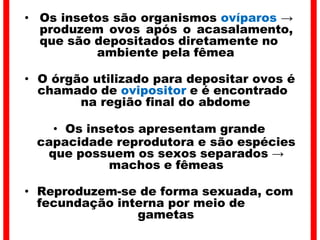 • Os insetos são organismos ovíparos →
produzem ovos após o acasalamento,
que são depositados diretamente no
ambiente pela fêmea
• O órgão utilizado para depositar ovos é
chamado de ovipositor e é encontrado
na região final do abdome
• Os insetos apresentam grande
capacidade reprodutora e são espécies
que possuem os sexos separados →
machos e fêmeas
• Reproduzem-se de forma sexuada, com
fecundação interna por meio de
gametas
 