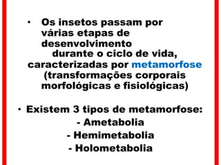 • Os insetos passam por
várias etapas de
desenvolvimento
durante o ciclo de vida,
caracterizadas por metamorfose
(transformações corporais
morfológicas e fisiológicas)
• Existem 3 tipos de metamorfose:
- Ametabolia
- Hemimetabolia
- Holometabolia
 