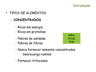 Introdução
 TIPOS DE ALIMENTOS
– CONCENTRADOS
– Ricos em energia
– Ricos em proteínas
– Pobres de umidade
– Pobres de fibras
– Nunca fornecer somente concentrados
– Sobrecarga ruminal
– Fornecer triturados
Milho
Sorgo
Soja
 