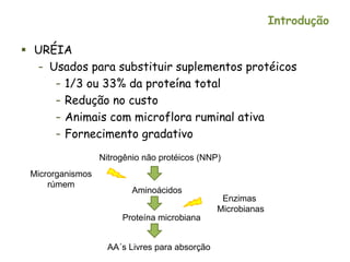 Introdução
 URÉIA
– Usados para substituir suplementos protéicos
– 1/3 ou 33% da proteína total
– Redução no custo
– Animais com microflora ruminal ativa
– Fornecimento gradativo
Microrganismos
rúmem
Nitrogênio não protéicos (NNP)
Aminoácidos
Proteína microbiana
AA´s Livres para absorção
Enzimas
Microbianas
 