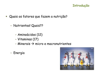 Introdução
 Quais os fatores que fazem a nutrição?
– Nutrientes! Quais??
– Aminoácidos (12)
– Vitaminas (17)
– Minerais  micro e macronutrientes
– Energia
 