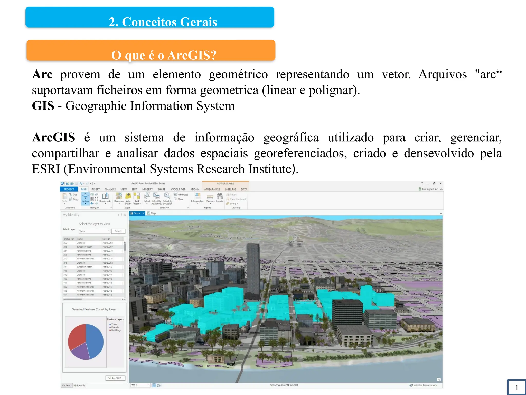 2. Conceitos Gerais
1
O que é o ArcGIS?
Arc provem de um elemento geométrico representando um vetor. Arquivos "arc“
suportavam ficheiros em forma geometrica (linear e polignar).
GIS - Geographic Information System
ArcGIS é um sistema de informação geográfica utilizado para criar, gerenciar,
compartilhar e analisar dados espaciais georeferenciados, criado e densevolvido pela
ESRI (Environmental Systems Research Institute).
 