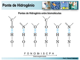 Ponte de Hidrogênio
Prof.a: Flávia F. Mulinari
Pontes de Hidrogênio entre biomoléculas
F O N Cl Br I S C P H
Eletronegatividade
 