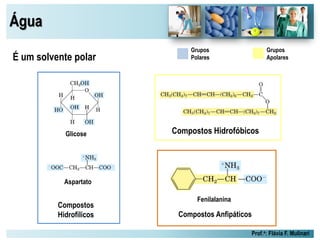 Água
Prof.a: Flávia F. Mulinari
É um solvente polar
Grupos
Polares
Grupos
Apolares
Compostos
Hidrofílicos
Glicose
Aspartato
Compostos Hidrofóbicos
Compostos Anfipáticos
Fenilalanina
 