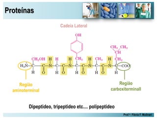 Proteínas
Prof.a: Flávia F. Mulinari
Região
aminoterminal
Região
carboxiterminall
Cadeia Lateral
Dipeptideo, tripeptideo etc.... polipeptideo
 