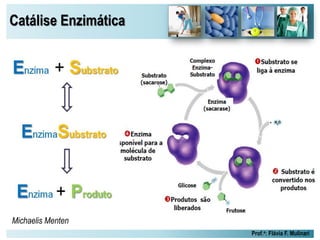 Catálise Enzimática
Prof.a: Flávia F. Mulinari
Michaelis Menten
 