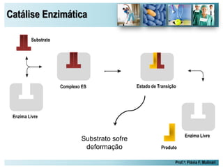 Catálise Enzimática
Prof.a: Flávia F. Mulinari
Enzima Livre
Substrato
Complexo ES Estado de Transição
Produto
Enzima Livre
Substrato sofre
deformação
 