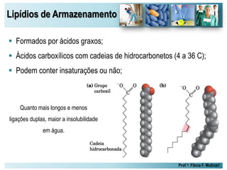 Lipídios de Armazenamento
Prof.a: Flávia F. Mulinari
 Formados por ácidos graxos;
 Ácidos carboxílicos com cadeias de hidrocarbonetos (4 a 36 C);
 Podem conter insaturações ou não;
Quanto mais longos e menos
ligações duplas, maior a insolubilidade
em água.
 