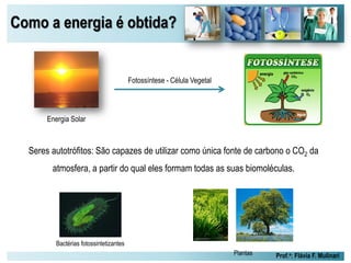 Como a energia é obtida?
Prof.a: Flávia F. Mulinari
Energia Solar
Fotossíntese - Célula Vegetal
Seres autotrófitos: São capazes de utilizar como única fonte de carbono o CO2 da
atmosfera, a partir do qual eles formam todas as suas biomoléculas.
Bactérias fotossintetizantes
Plantas
 