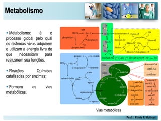 Metabolismo
Prof.a: Flávia F. Mulinari
 Metabolismo: é o
processo global pelo qual
os sistemas vivos adquirem
e utilizam a energia livre de
que necessitam para
realizarem sua funções.
 Reações Químicas
catalisadas por enzimas;
 Formam as vias
metabólicas.
Vias metabólicas
 