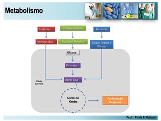 Metabolismo
Prof.a: Flávia F. Mulinari
 
