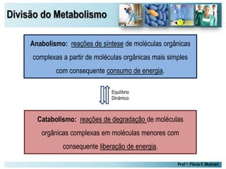 Divisão do Metabolismo
Prof.a: Flávia F. Mulinari
Anabolismo: reações de síntese de moléculas orgânicas
complexas a partir de moléculas orgânicas mais simples
com consequente consumo de energia.
Catabolismo: reações de degradação de moléculas
orgânicas complexas em moléculas menores com
consequente liberação de energia.
Equilíbrio
Dinâmico
 
