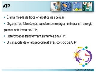 ATP
Prof.a: Flávia F. Mulinari
 É uma moeda de troca energética nas células;
 Organismos fototrópicos transformam energia luminosa em energia
química sob forma de ATP;
 Heterotróficos transformam alimentos em ATP;
 O transporte de energia ocorre através do ciclo de ATP.
 
