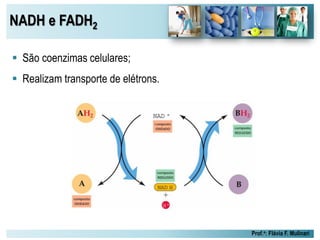 NADH e FADH2
Prof.a: Flávia F. Mulinari
 São coenzimas celulares;
 Realizam transporte de elétrons.
 