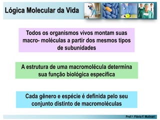 Lógica Molecular da Vida
Prof.a: Flávia F. Mulinari
A estrutura de uma macromolécula determina
sua função biológica específica
Todos os organismos vivos montam suas
macro- moléculas a partir dos mesmos tipos
de subunidades
Cada gênero e espécie é definida pelo seu
conjunto distinto de macromoléculas
 