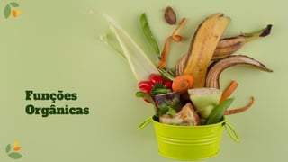 Funções
Orgânicas
 