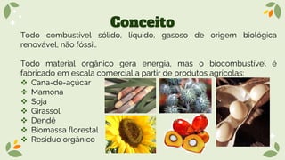 Conceito
Todo combustível sólido, líquido, gasoso de origem biológica
renovável, não fóssil.
Todo material orgânico gera energia, mas o biocombustível é
fabricado em escala comercial a partir de produtos agrícolas:
❖ Cana-de-açúcar
❖ Mamona
❖ Soja
❖ Girassol
❖ Dendê
❖ Biomassa florestal
❖ Resíduo orgânico
 