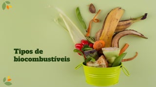 Tipos de
biocombustíveis
 