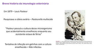 Breve história da imunologia veterinária
Em 1879 – Louis Pasteur
Pesquisava a cólera aviária – Pasteurella multocida
“Pasteur possuía a cultura desse microrganismo
que acidentalmente envelheceu enquanto seu
assistente estava de férias”
Tentativa de infecção em galinhas com a cultura
envelhecida = Não infectou
 