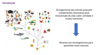 Introdução
Os organismos dos animais possuem
componentes necessários para
manutenção da vida: calor: umidade e
muitos nutrientes
Atraente aos microrganismos para
aproveitar esses recursos
 