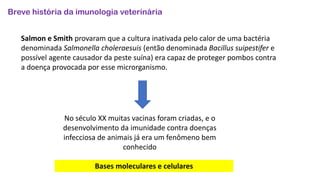 Breve história da imunologia veterinária
Salmon e Smith provaram que a cultura inativada pelo calor de uma bactéria
denominada Salmonella choleraesuis (então denominada Bacillus suipestifer e
possível agente causador da peste suína) era capaz de proteger pombos contra
a doença provocada por esse microrganismo.
No século XX muitas vacinas foram criadas, e o
desenvolvimento da imunidade contra doenças
infecciosa de animais já era um fenômeno bem
conhecido
Bases moleculares e celulares
 