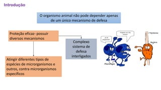 Introdução
O organismo animal não pode depender apenas
de um único mecanismo de defesa
Proteção eficaz- possuir
diversos mecanismos
Atingir diferentes tipos de
espécies de microrganismos e
outros, contra microrganismos
específicos
Complexo
sistema de
defesa
interligados
 