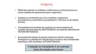 Antígenos
• Moléculas naturais ou sintéticas, inofensivas ou nocivas (toxinas ou
outras substâncias agressivas) para o organismo;
• Isolados ou constituídos por vírus, bactérias, organismos
procarióticos ou eucarióticos que parasitam o indivíduo ou as células
animais;
• Transplantes provenientes de doadores da mesma espécie do
receptor são chamadosALOANTÍGENOS e de espécies diferentes de
HETEROANTÍGENOS;
• Eventualmente células do próprio organismo sofrem mudanças
fisiológicas ou patológicas (reações auto-imunes) e são consideradas
estranhas e são chamadas AUTOANTÍGENOS;
Arejeição ao transplante é um exemplo
típico de reação auto-imune.
 