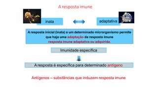 A resposta imune
inata adaptativa
A resposta inicial (inata) a um determinado microrganismo permite
que haja uma adaptação da resposta imune
resposta imune adaptativa ou adquirida.
Imunidade específica
Aresposta é específica para determinado antígeno
Antígenos – substâncias que induzem resposta imune
 