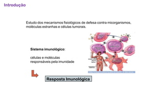 Estudo dos mecanismos fisiológicos de defesa contra micorganismos,
moléculas estranhas e células tumorais.
Sistema imunológico:
células e moléculas
responsáveis pela imunidade
Resposta Imunológica
Introdução
 