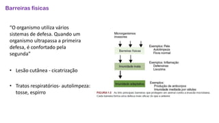 Barreiras físicas
“O organismo utiliza vários
sistemas de defesa. Quando um
organismo ultrapassa a primeira
defesa, é confortado pela
segunda”
• Lesão cutânea - cicatrização
• Tratos respiratórios- autolimpeza:
tosse, espirro
 