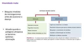 Imunidade inata
• Bloqueio imediato
de microrganismos
antes de ocasionar a
doença
• Ativada quando o
patógeno ultrapassa
as barreiras
epiteliais -
eliminação
 