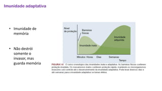 Imunidade adaptativa
• Imunidade de
memória
• Não destrói
somente o
invasor, mas
guarda memória
 