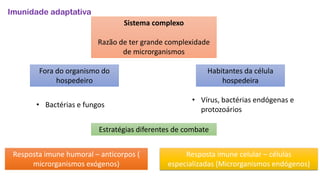 Imunidade adaptativa
Sistema complexo
Razão de ter grande complexidade
de microrganismos
Fora do organismo do
hospedeiro
Habitantes da célula
hospedeira
• Bactérias e fungos
• Vírus, bactérias endógenas e
protozoários
Estratégias diferentes de combate
Resposta imune humoral – anticorpos (
microrganismos exógenos)
Resposta imune celular – células
especializadas (Microrganismos endógenos)
 