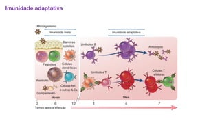 Imunidade adaptativa
 