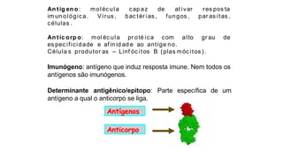 de at ivar
moléc ula
Vírus ,
cap az
bac tér ias , fungos ,
res pos ta
par as itas ,
An tíg en o:
im un ológica.
células .
An tic orp o: mol éc ula pr oté ica com alto gr au de
es pec ificidade e af in id ad e ao antíge no.
Célula s produtor as – Linf óc itos B (plas móc itos ).
Imunógeno: antígeno que induz resposta imune. Nem todos os
antígenos são imunógenos.
Determinante antigênico/epitopo: Parte específica de um
antígeno a qual o anticorpo se liga.
Antígenos
Anticorpo
 
