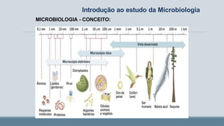 Introdução ao estudo da Microbiologia
MICROBIOLOGIA - CONCEITO:
 