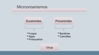 Microorganismos
Eucariontes Procariontes
Vírus
 Fungos
 Algas
 Protozoários
 Bactérias
 Cianofitas
 