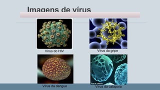 Imagens de vírus
Vírus do HIV Vírus da gripe
Vírus da catapora
Vírus da dengue
 