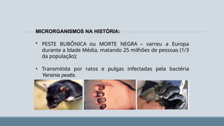 MICRORGANISMOS NA HISTÓRIA:
• PESTE BUBÔNICA ou MORTE NEGRA – varreu a Europa
durante a Idade Média, matando 25 milhões de pessoas (1/3
da população);
• Transmitida por ratos e pulgas infectadas pela bactéria
Yersinia pestis.
 
