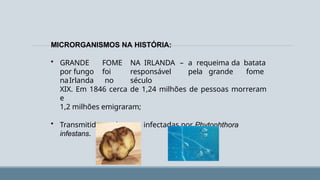 MICRORGANISMOS NA HISTÓRIA:
• GRANDE FOME NA IRLANDA – a requeima da batata
por fungo foi responsável pela grande fome
naIrlanda no século
XIX. Em 1846 cerca de 1,24 milhões de pessoas morreram
e
1,2 milhões emigraram;
• Transmitida por batatas infectadas por Phytophthora
infestans.
 