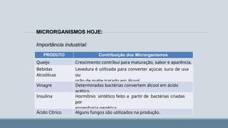 MICRORGANISMOS HOJE:
Importância industrial:
PRODUTO Contribuição dos Microrganismos
Queijo Crescimento contribui para maturação, sabor e aparência.
Bebidas
Alcoólicas
Levedura é utilizada para converter açúcar, suco de uva
ou
grão de malte tratado em álcool.
Vinagre Determinadas bactérias convertem álcool em ácido
acético.
Insulina Hormônio sintético feito a partir de bactérias criadas
por
engenharia genética.
Ácido Cítrico Alguns fungos são utilizados na produção.
 