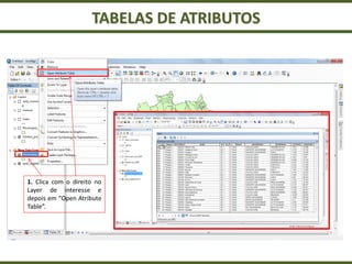 TABELAS DE ATRIBUTOS
1. Clica com o direito no
Layer de interesse e
depois em “Open Atribute
Table”.
 