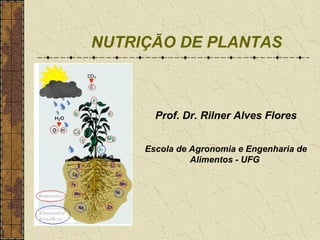 NUTRIÇÃO DE PLANTAS



       Prof. Dr. Rilner Alves Flores


     Escola de Agronomia e Engenharia de
               Alimentos - UFG
 