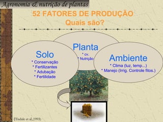 Agronomia & nutrição de plantas
          52 FATORES DE PRODUÇÃO
                      Quais são?


                                  Planta
                  Solo                * cv.
                                   * Nutrição       Ambiente
               * Conservação
                * Fertilizantes                     * Clima (luz, temp...)
                 * Adubação                     * Manejo (Irrig. Controle fitos.)
                 * Fertilidade




  (Tisdale et al.,1993)
 