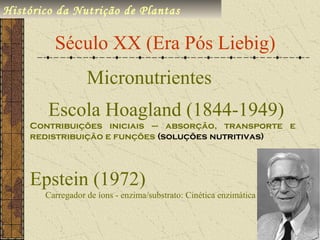 Histórico da Nutrição de Plantas

         Século XX (Era Pós Liebig)
                  Micronutrientes
        Escola Hoagland (1844-1949)
    Contribuições iniciais – absorção, transporte e
    redistribuição e funções (soluções nutritivas)




    Epstein (1972)
       Carregador de íons - enzima/substrato: Cinética enzimática
 